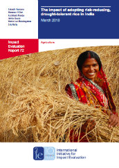 The impact of adopting risk-reducing, drought-tolerant rice in India